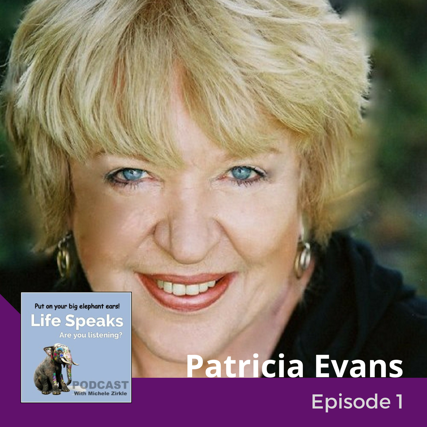 the verbally abusive relationship by patricia evans